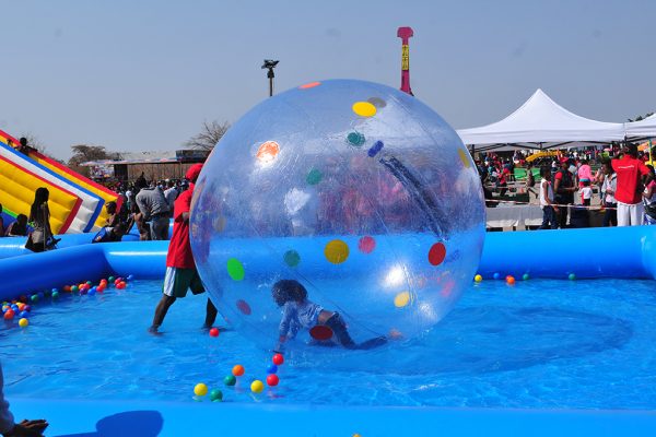 Consumer Fair 2015 (9)